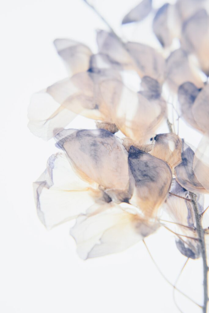Naturopathe hormones et libido